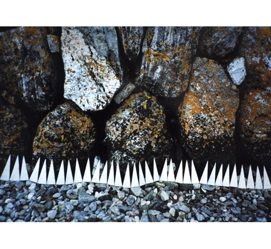 Roger Austin: Sunburst Photo Two