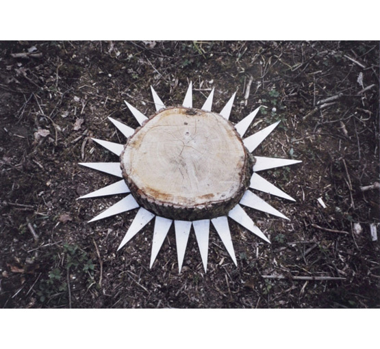 Roger Austin: Sunburst Photo Six