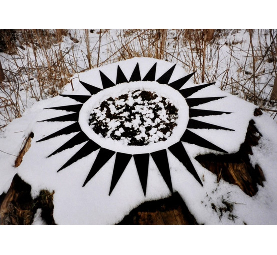 Roger Austin: Sunburst Photo Nine