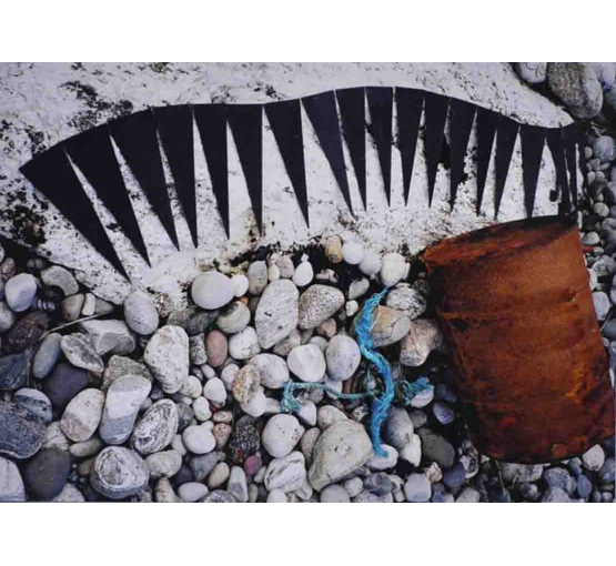 Roger Austin: Sunburst Photo Ten