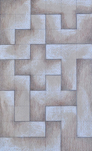 Roger Austin: Pentonimo 10